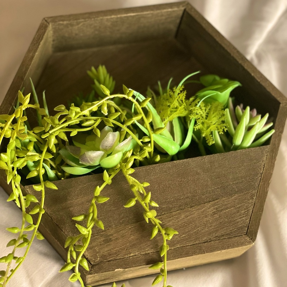 Succulent Wall Decor